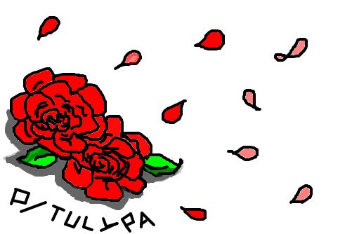 rosa p/ tulypa