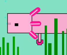 Axolotl - Minecraft
