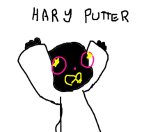 hary putter