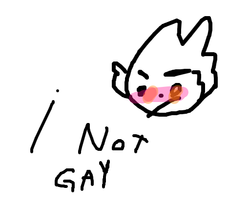 I NOT GAY