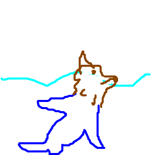 lobo-marinho