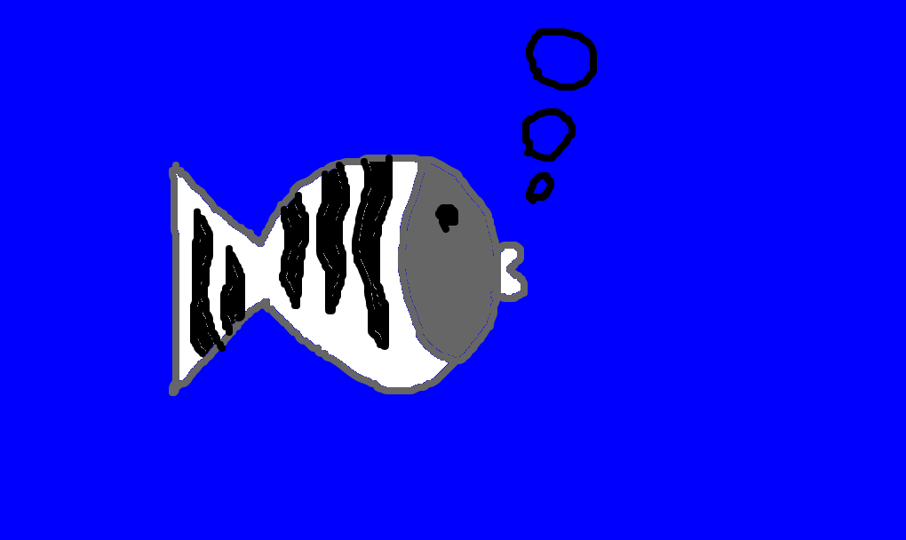 peixe-zebra