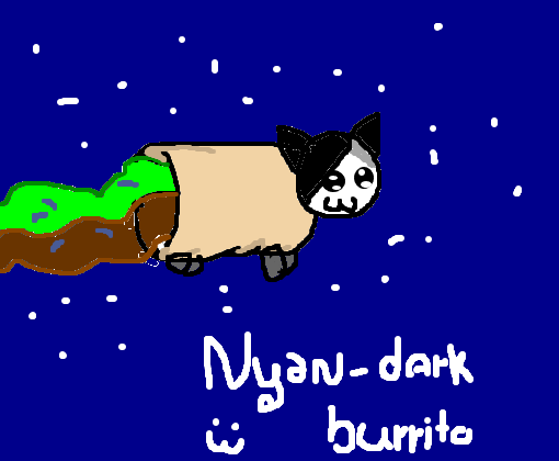Nyan-dark burrito :3