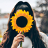 _Sunflower