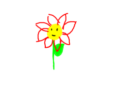 Uma flor feliz