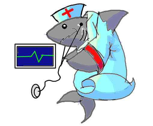 Tubarão-Enfermeiro