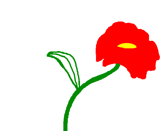 Tulipa errada