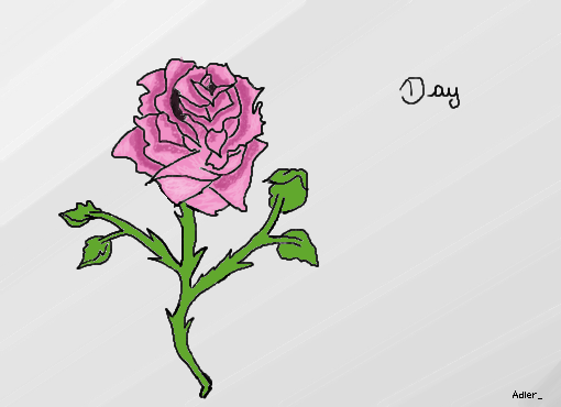 Rosa p/ Day