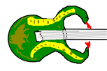 Snake Guitar
