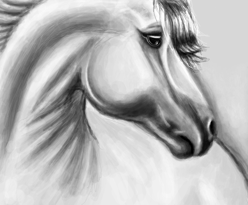 horse ._.\'