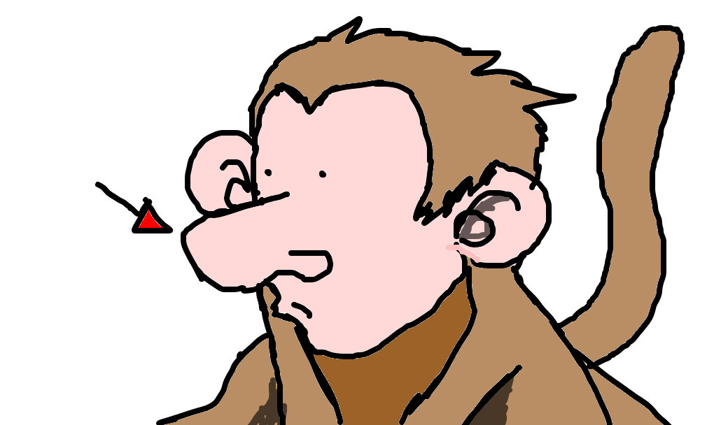 macaco-narigudo