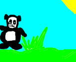 um panda
