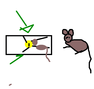ratoeira