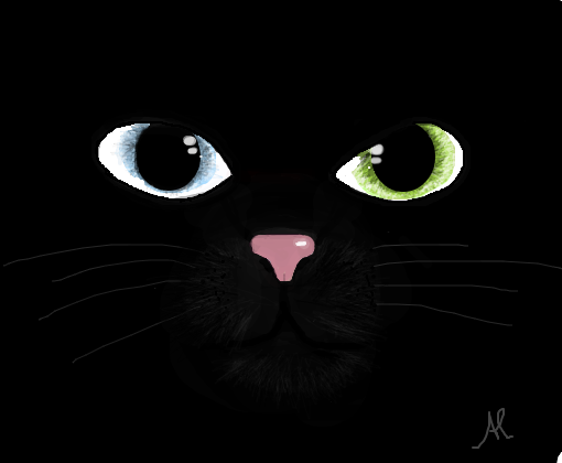 Gato Preto - Desenho de el_destemida - Gartic