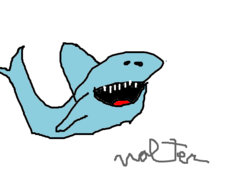 Walter o Tubarão