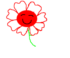 flor happy