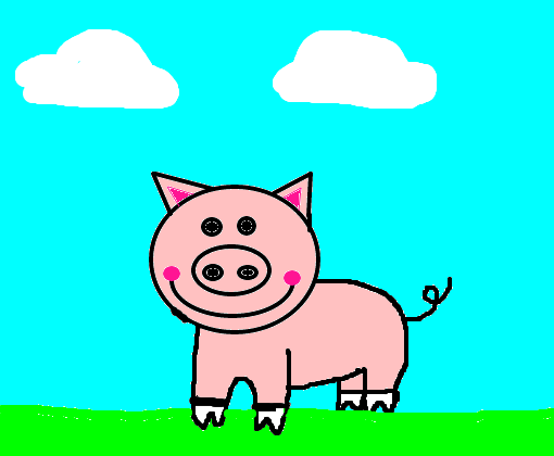 O porco