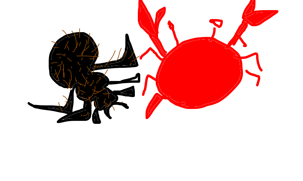 aranha-caranguejeira