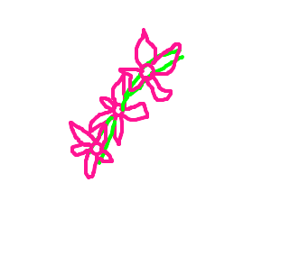 flor de pêssego