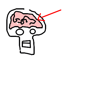 cérebro
