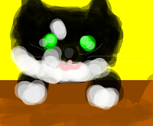 Meu Gato Diamante Negro <3