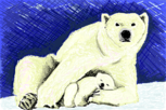 Urso-Polar