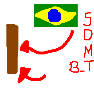pau-brasil / s2
