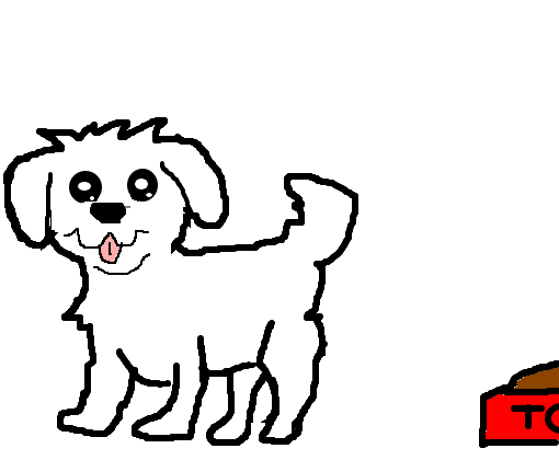 Cachorro