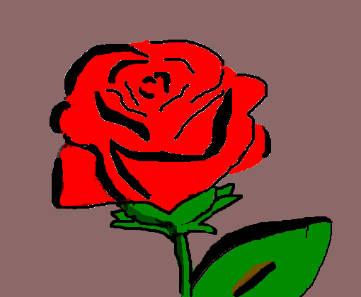 Rosa Vermelha