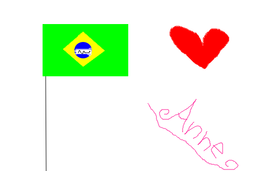 amo o Brasil !