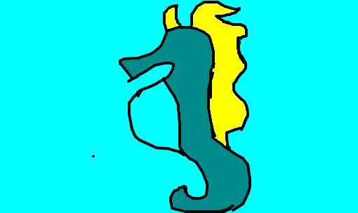 cavalo-marinho