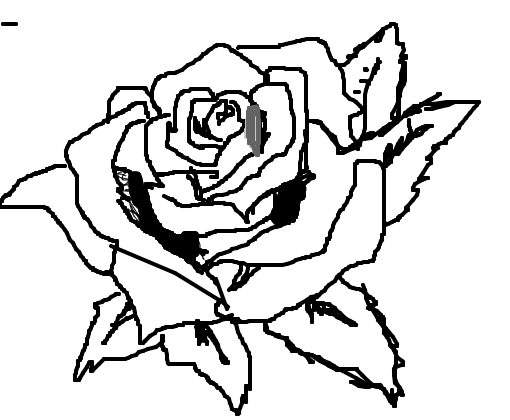A rosa do contorno