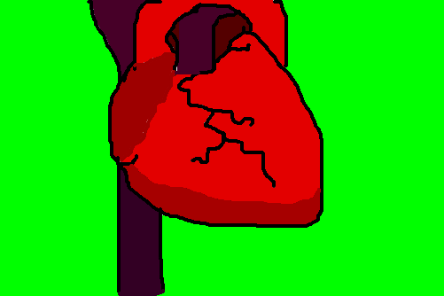 Coração
