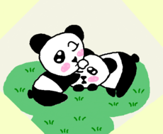 Pandas :3