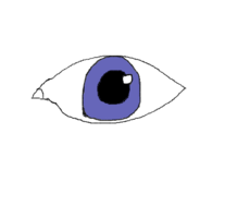 Olho (3)