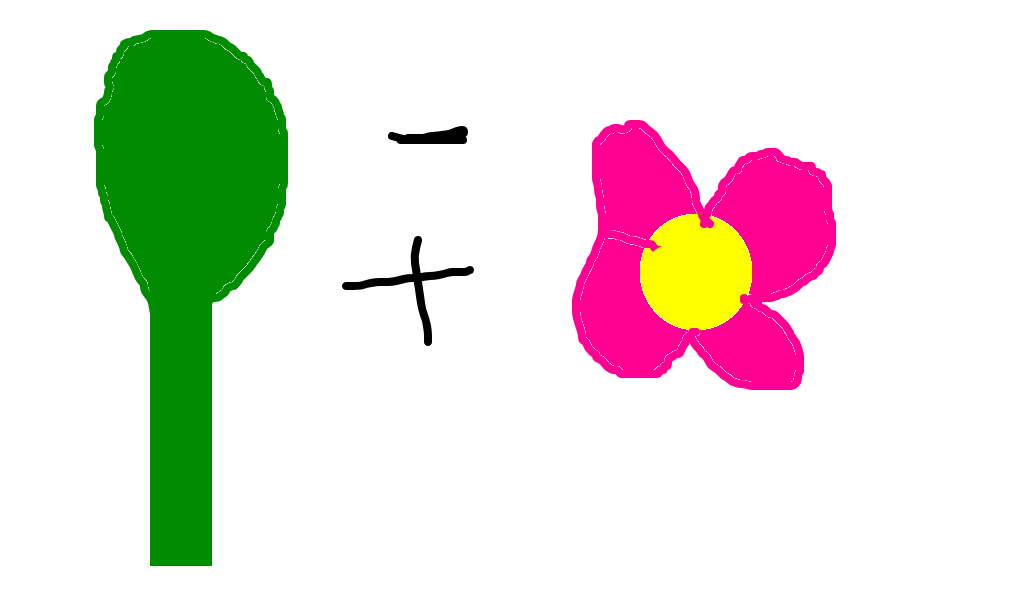 couve-flor