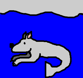 lobo-marinho