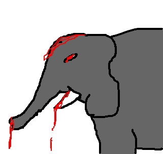 elefante sanguin&aacute;rio