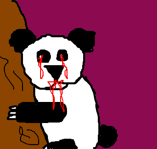 morra, panda!