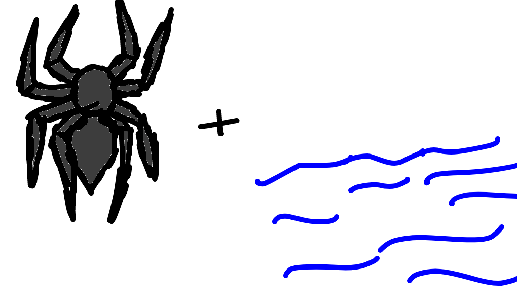 aranha-do-mar