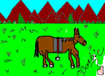 O cavalo pantaneiro