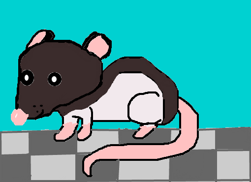 ratinho