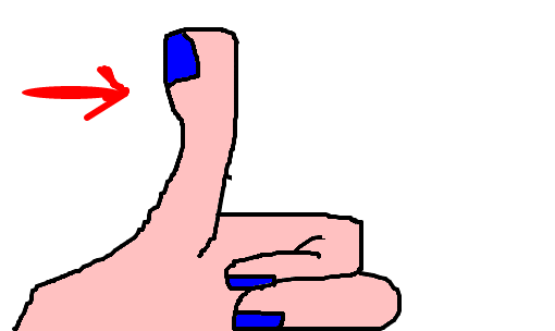 O grande polegar