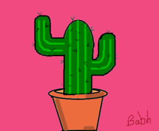 Cactus <3