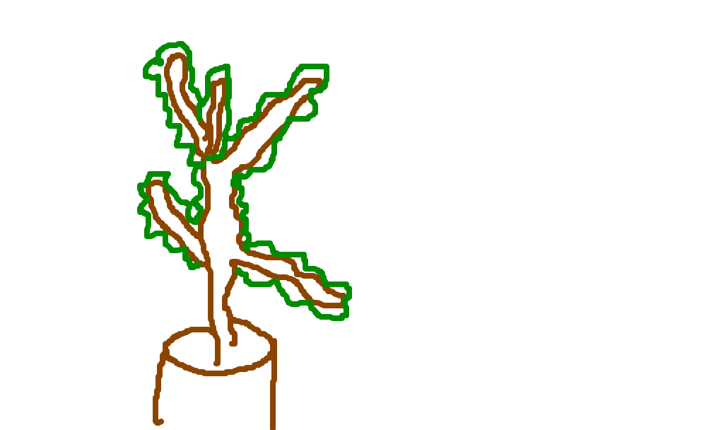 bonsai