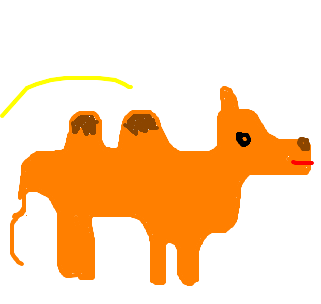 camelo