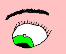  O olho