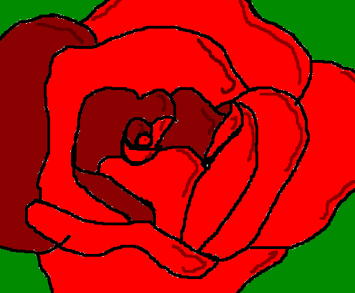 rosa vermelha