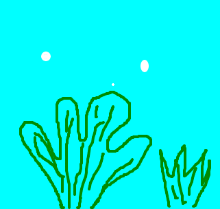 corais