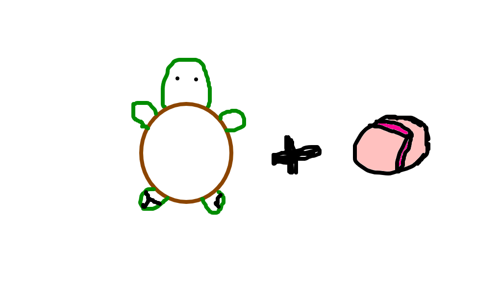 tartaruga de chinelo